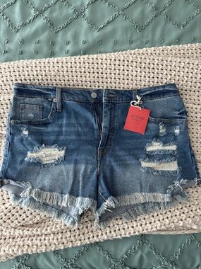Mossimo Supply Co. Blue Distressed Frayed Hem Jean Shorts